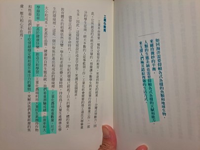 圖片7