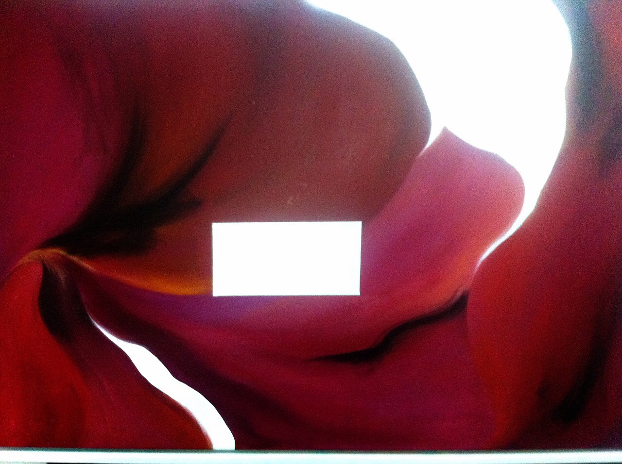 2013 05 21 894