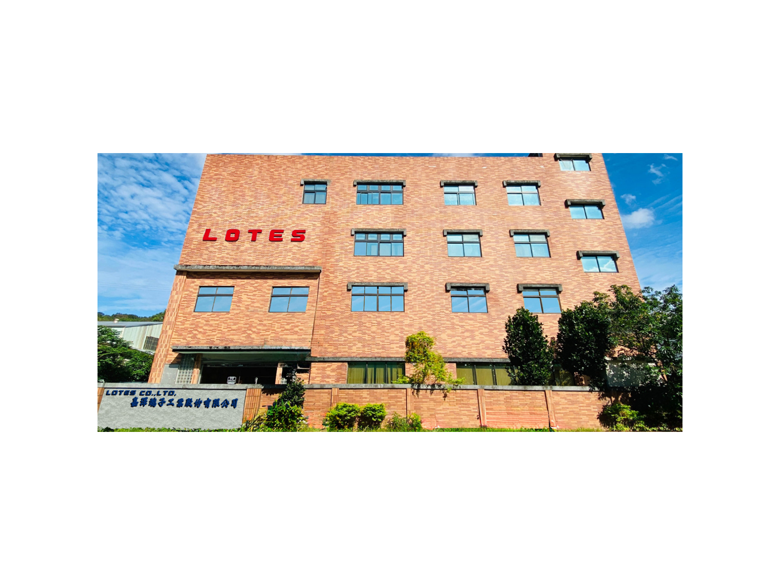 lotes socket 6fbrw6