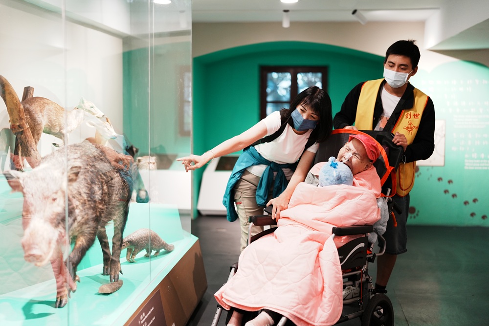 s 81281121 0
