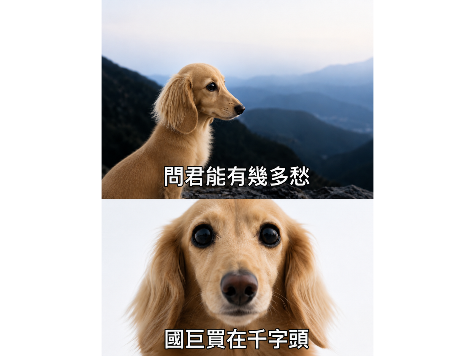chatgpt20image202026e5b9b47e69c8829e697a520e4b88ae58d8811 14 15202 bid7fd